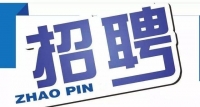岱岳區(qū)政務(wù)服務(wù)中心招人啦！大專以上學(xué)歷，即日起報名