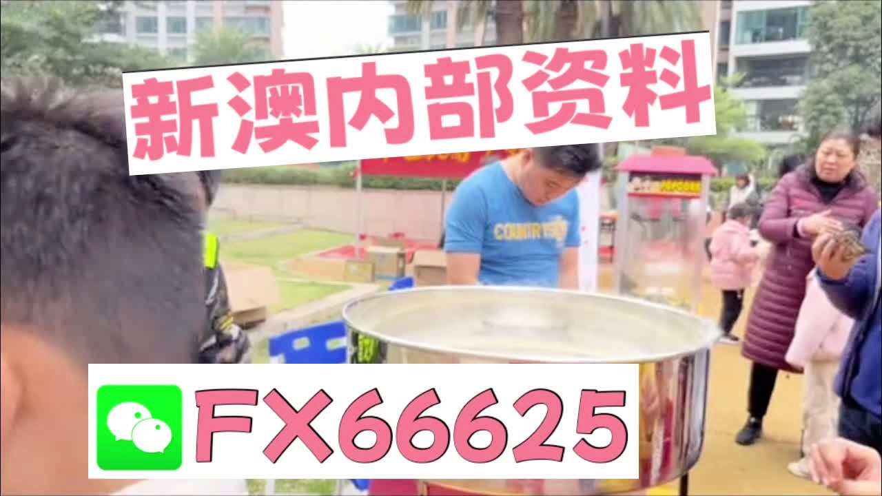 新奧2025資料大全最新版本，全面解析與深度洞察，新奧2025資料大全最新版，全面解析與深度洞察報告