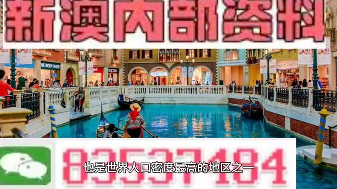 澳門(mén)王中王正版游戲，探索未來(lái)的新篇章（2025年展望），澳門(mén)王中王正版游戲，探索未來(lái)新篇章，展望2025年發(fā)展