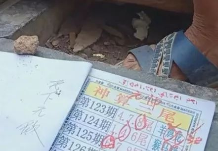 香港中特期期準資料，深度解析與探索，香港中特期期準資料深度解析與探索報告