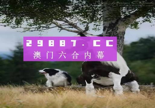 澳門天天空彩官網(wǎng)資料，探索彩票世界的門戶，澳門天天空彩官網(wǎng)資料，彩票世界探索門戶