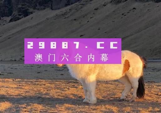 澳門天天彩資料正版免費特色快8，探索彩票世界的魅力與機遇，澳門天天彩正版特色快8，彩票世界的魅力與機遇探索