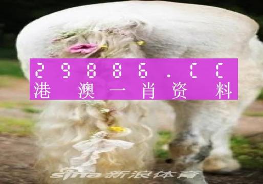 澳門(mén)羊了個(gè)羊與各大圖庫(kù)的資料揭秘，2023年澳門(mén)今晚必中一肖一碼永久免費(fèi)資料庫(kù)大解密，澳門(mén)羊了個(gè)羊與資料庫(kù)揭秘，2023年必中一肖一碼永久免費(fèi)資料大解密