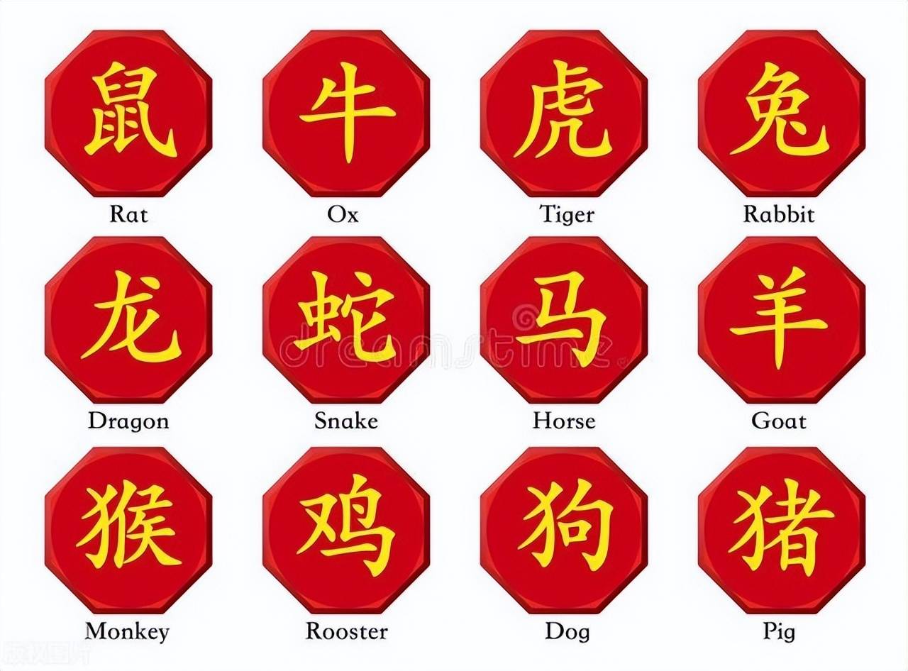 新澳特碼，羊牛虎各數(shù)10——揭秘背后的數(shù)字奧秘，揭秘新澳特碼數(shù)字奧秘，羊牛虎各數(shù)背后的秘密