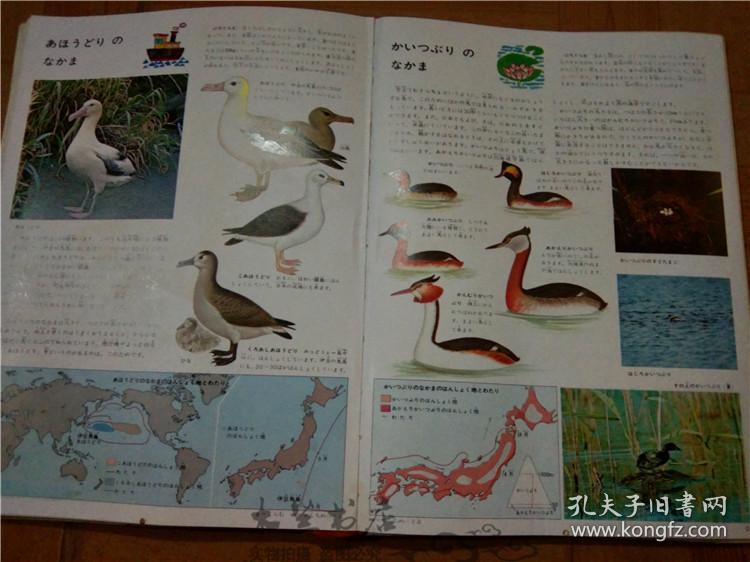 今日正版跑狗圖分享，探索7777788888跑狗圖的魅力，今日正版跑狗圖分享，探索魅力十足的777778跑狗圖