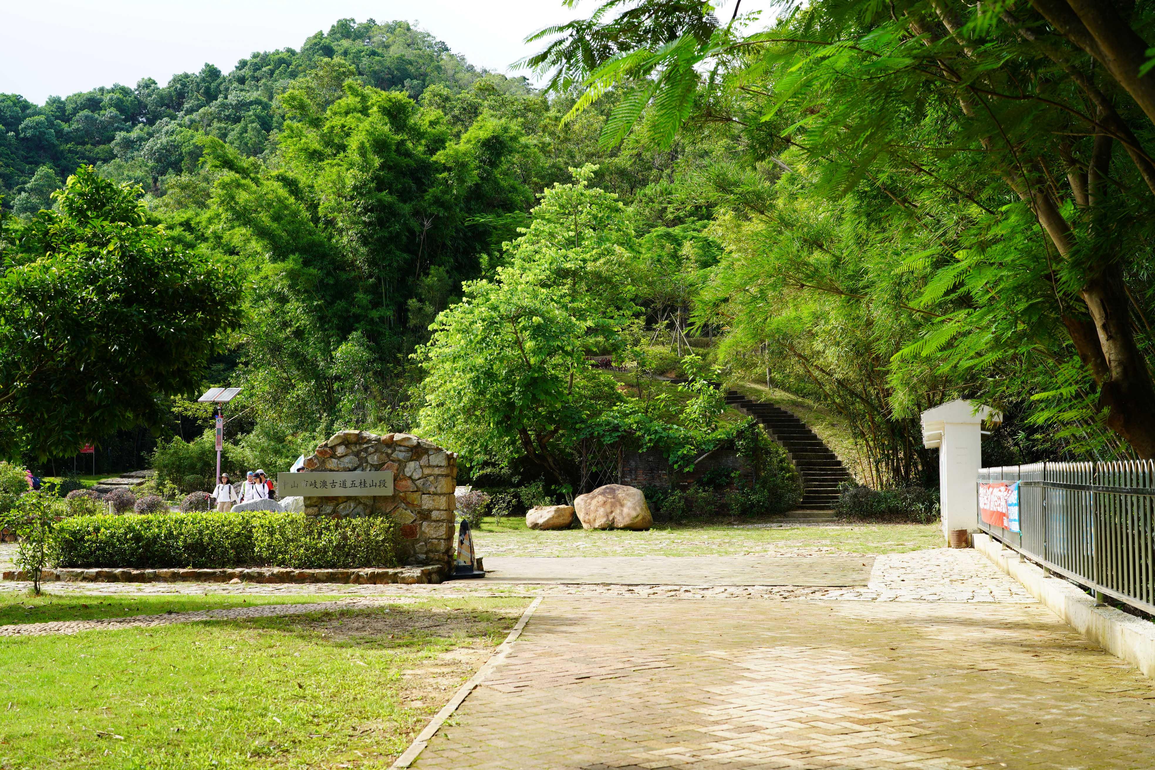 新澳門彩生肖走勢圖，探索與解讀彩票背后的秘密，探索解讀新澳門彩生肖走勢圖，彩票背后的秘密揭秘