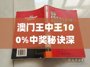 新澳門王中王期期中，探索與解析，新澳門王中王期期中，深度探索與解析