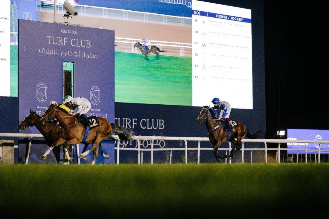 澳門特馬今晚開獎一，探索彩票背后的秘密與期待，澳門特馬今晚開獎，揭秘彩票背后的秘密與期待大獎的激動心情