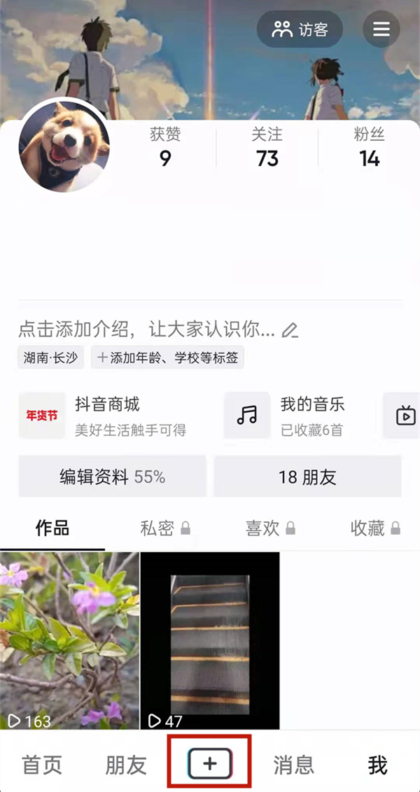 白小姐的精準免費四肖，揭秘背后的秘密，揭秘白小姐精準免費四肖背后的秘密