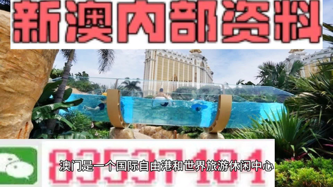 新澳的資料去哪里找——全面指南，新澳資料全攻略，尋找資料的途徑與指南