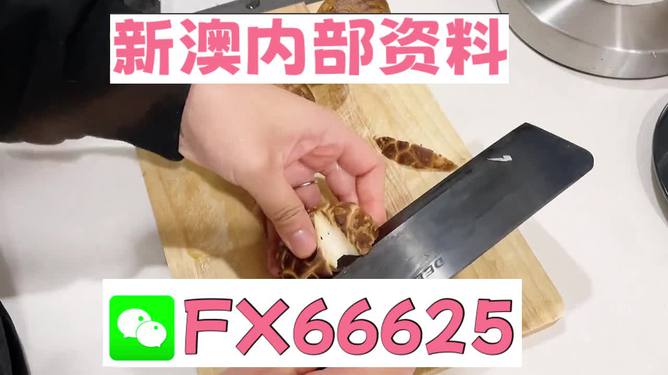 澳門(mén)九點(diǎn)半9點(diǎn)半網(wǎng)站——探索其魅力與優(yōu)勢(shì)，澳門(mén)九點(diǎn)半網(wǎng)站，魅力與優(yōu)勢(shì)探索