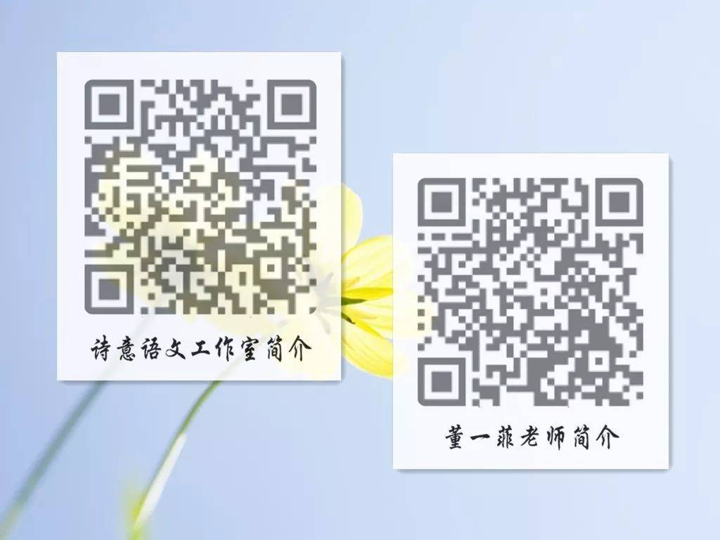 一碼一肖一特一，揭秘背后的秘密與獨(dú)特之處，揭秘一碼一肖一特一的獨(dú)特之處與背后秘密