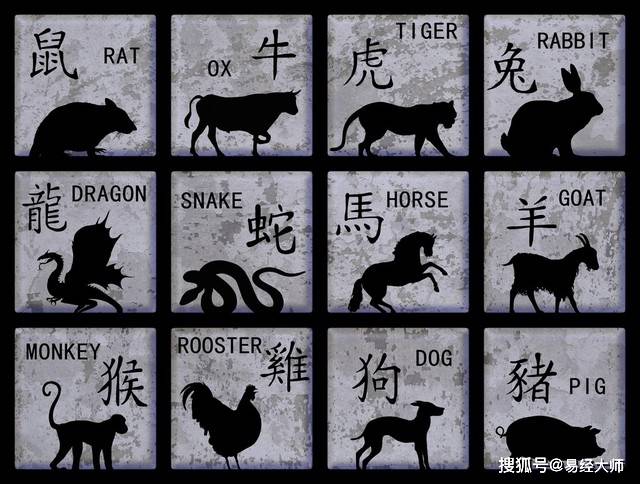 新澳特碼，羊?；⒏鲾?shù)10的獨特魅力與解析，新澳特碼，羊?；⒏鲾?shù)10的獨特魅力深度解析