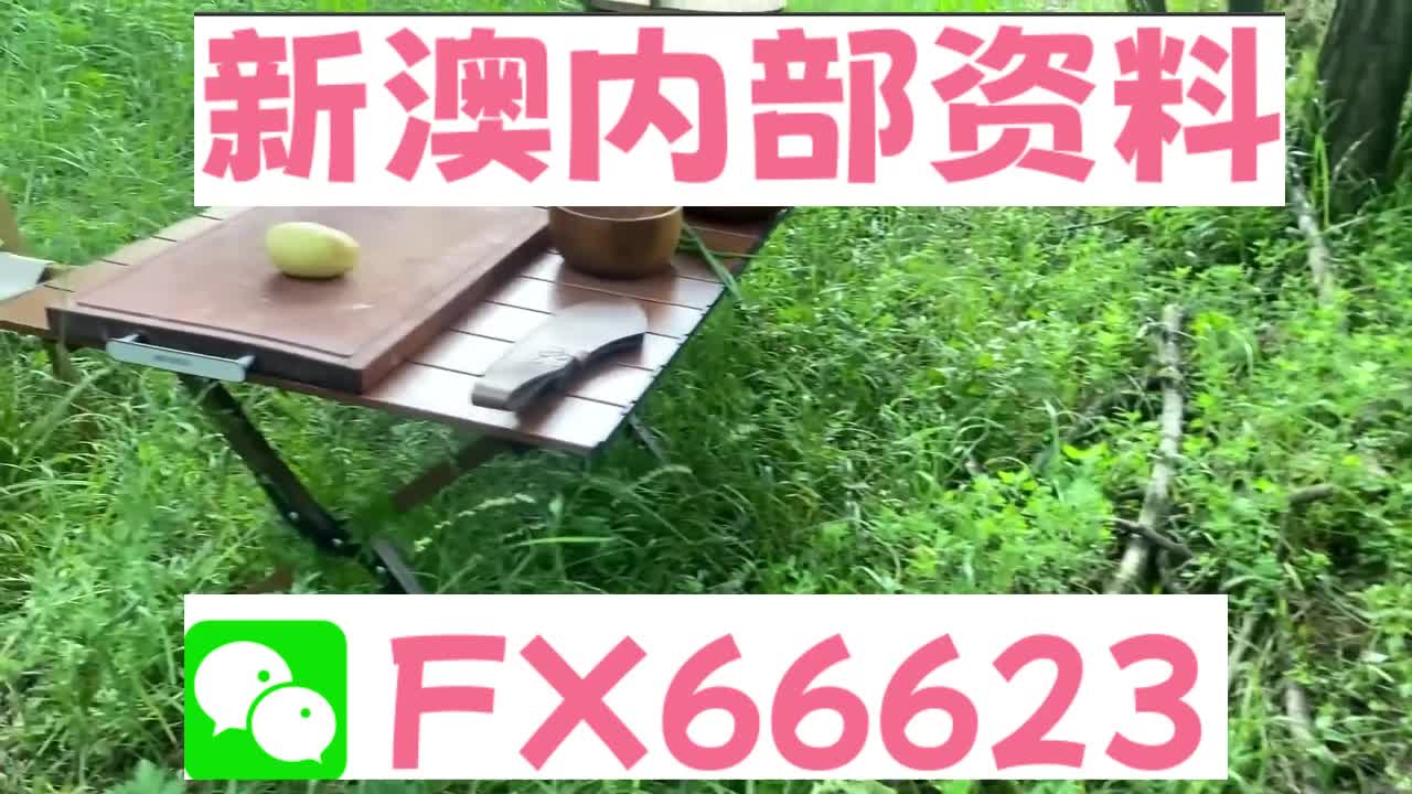 新奧特碼走勢(shì)圖解析與預(yù)測(cè)，新奧特碼走勢(shì)圖解析與預(yù)測(cè)，未來(lái)趨勢(shì)探討