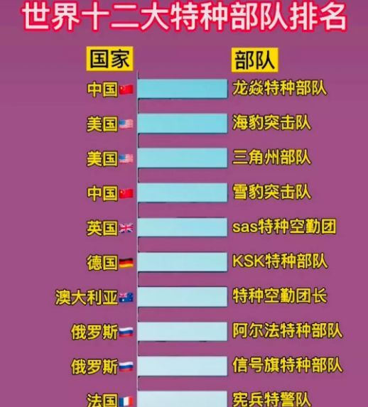 中國十大王牌特種部隊(duì)，實(shí)力與榮耀的象征，中國十大王牌特種部隊(duì)，實(shí)力與榮耀的巔峰標(biāo)志