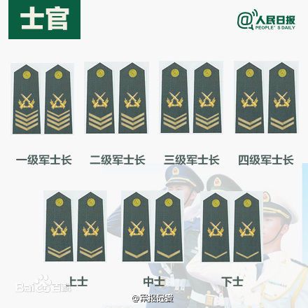 全球各國(guó)軍士長(zhǎng)軍銜對(duì)照表及其重要性，全球各國(guó)軍士長(zhǎng)軍銜對(duì)照表，揭示其重要性