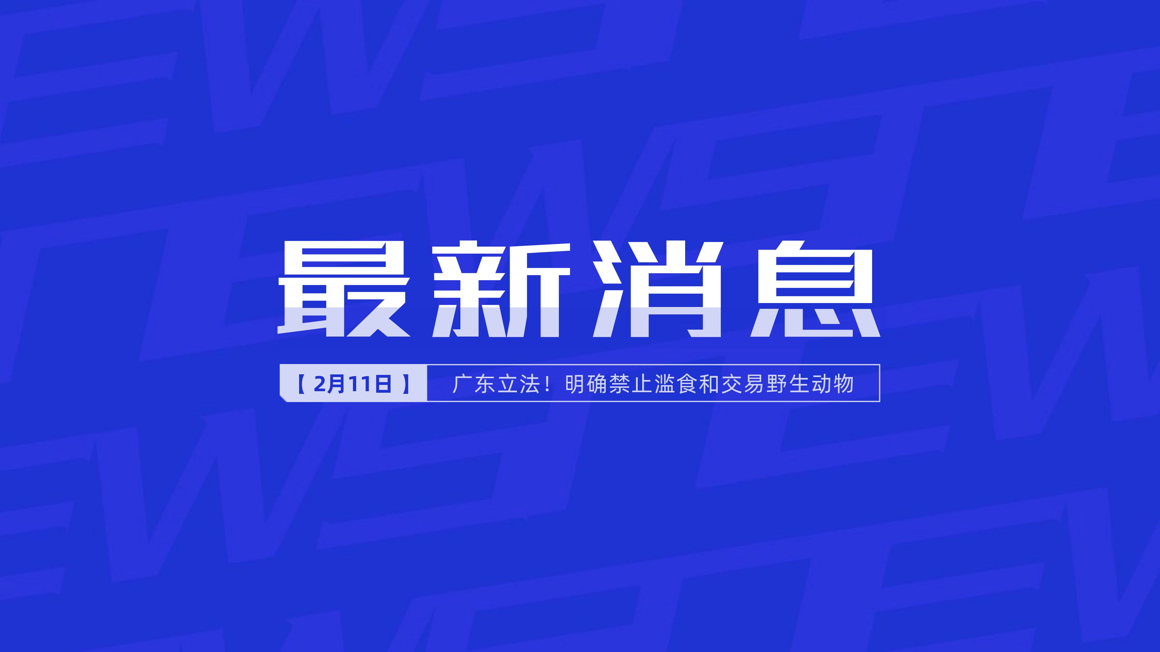 新聞最新新聞，掌握時(shí)事熱點(diǎn)，洞悉世界動態(tài)，時(shí)事熱點(diǎn)速遞，掌握全球最新動態(tài)新聞