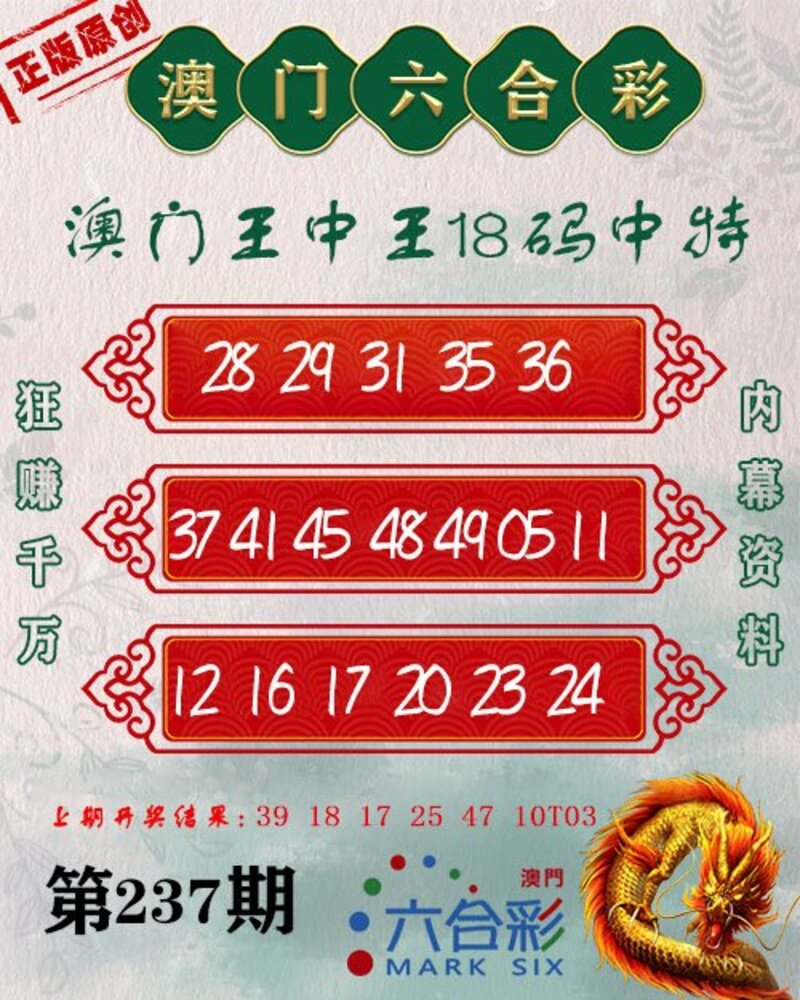 新澳門王中王期期中，探索與解析，新澳門王中王期期中，深度探索與解析