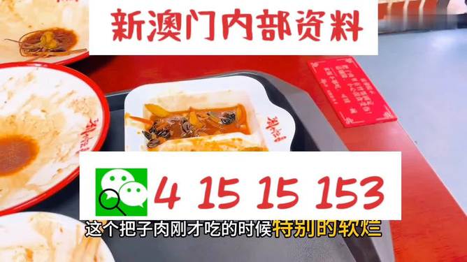 澳門王中王六碼新澳門，探索與解析，澳門王中王六碼新澳門，深度探索與解析