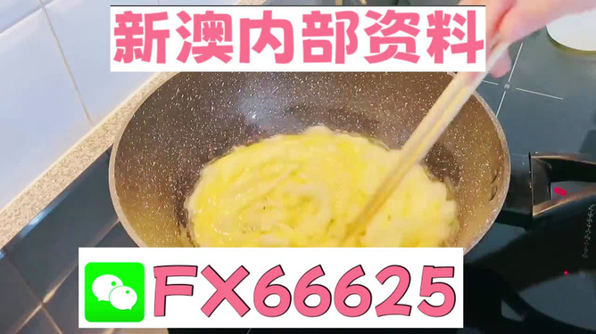 澳門(mén)九點(diǎn)半9點(diǎn)半網(wǎng)站——探索與體驗(yàn)，澳門(mén)九點(diǎn)半網(wǎng)站，探索與體驗(yàn)之旅