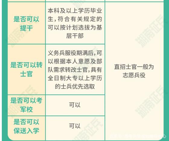 士官直招與義務(wù)兵的區(qū)別，深入了解軍隊(duì)招募制度，直招士官與義務(wù)兵招募制度深度解析，軍隊(duì)招募制度詳解