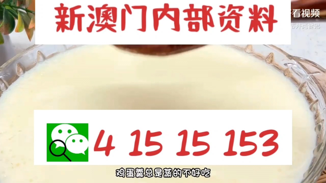 新澳門中特網中特馬，探索與解析，澳門中特馬探索與解析指南