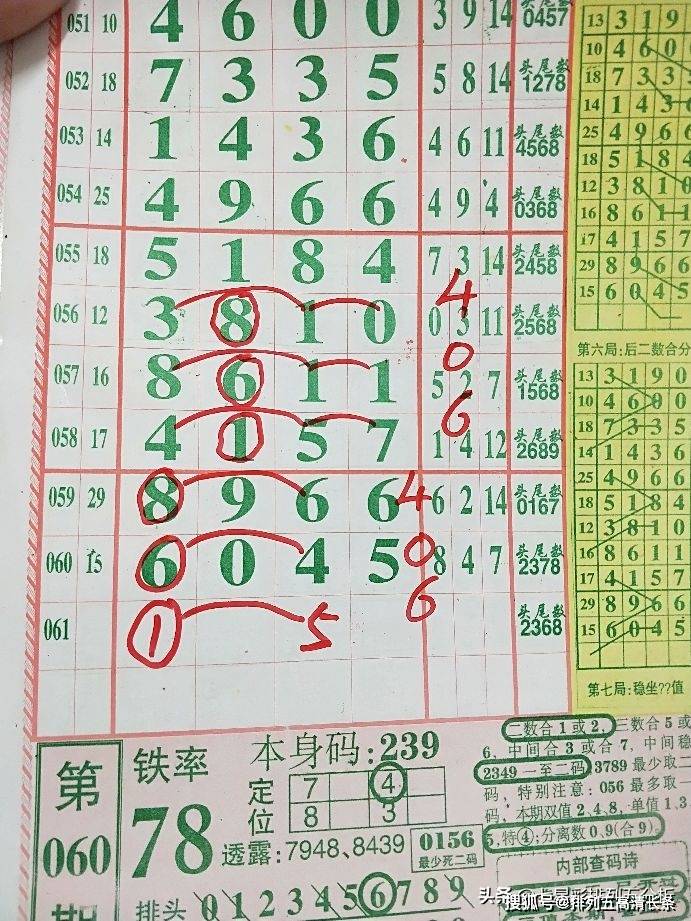 平特肖推算法，探索搜索引擎優(yōu)化的新境界，平特肖推算法，開啟搜索引擎優(yōu)化新境界的探索之旅