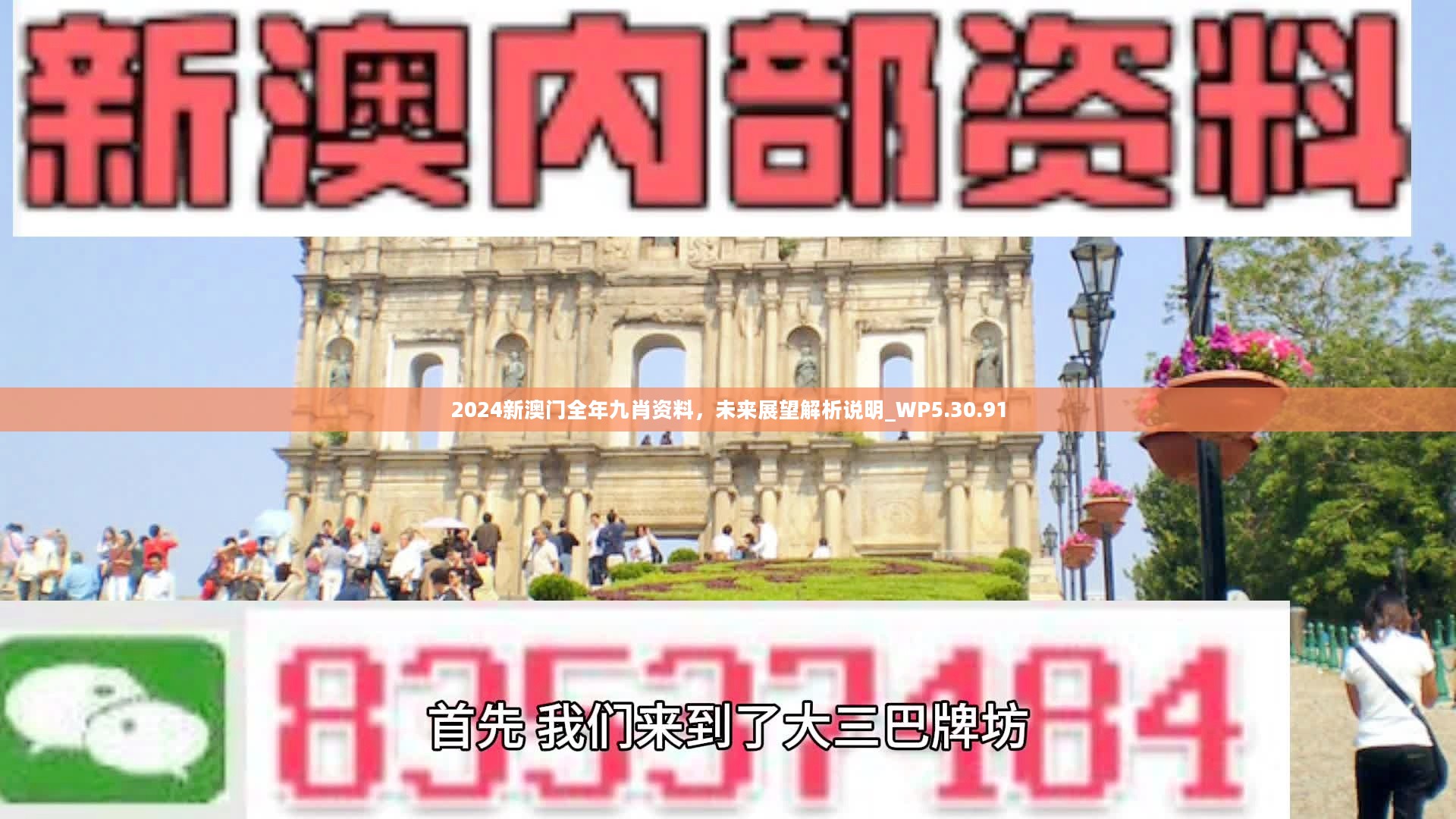 新澳門精準(zhǔn)九肖，揭秘預(yù)測(cè)技巧與策略，揭秘新澳門精準(zhǔn)九肖預(yù)測(cè)技巧與策略