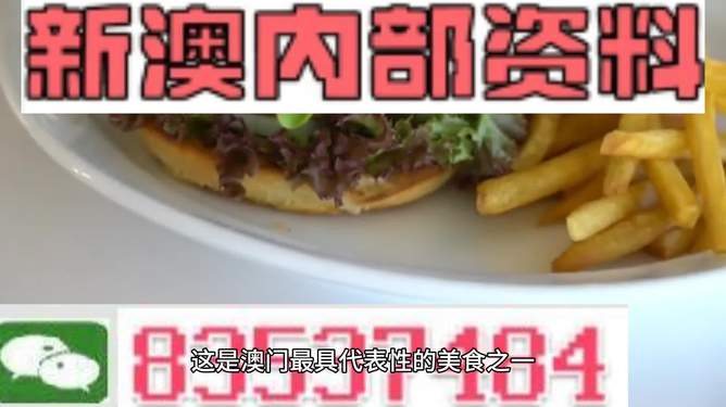 新澳2024生肖最新資料解析與預(yù)測，新澳2024生肖解析與預(yù)測報(bào)告