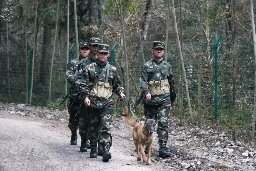 火箭軍是否都在大山之中？解析火箭軍的駐扎環(huán)境與任務特點，火箭軍的駐扎環(huán)境與任務特點解析，大山之中還是多元布局？