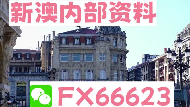 澳門六資料大全，深度探索與揭秘，澳門六資料大全，深度探索與揭秘之旅