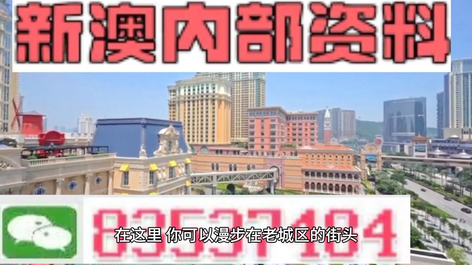 新澳門期期準(zhǔn)精準(zhǔn)，探索澳門的未來與SEO策略，澳門未來展望與SEO策略探索，精準(zhǔn)瞄準(zhǔn)新機(jī)遇