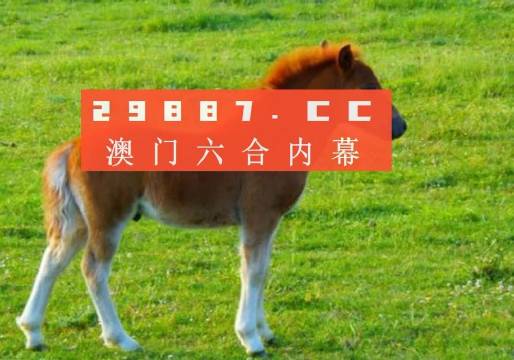 澳門答家婆一肖一馬一中一特，揭秘背后的秘密與獨特文化魅力，澳門文化魅力深度解析，答家婆一肖一馬一中一特的獨特傳統(tǒng)與秘密