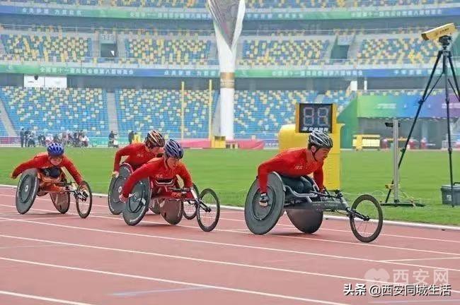 2025年澳門精準(zhǔn)免費大全——全面解析澳門未來展望與特色體驗，澳門未來展望與特色體驗解析，澳門精準(zhǔn)免費大全（2025版）