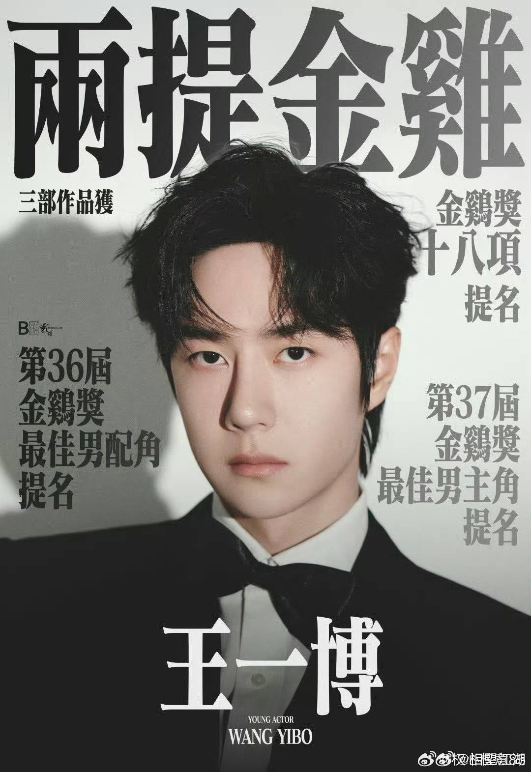 王中王一肖中特論特，深度解析與SEO洞察，深度解析王中王一肖中特論特與SEO洞察