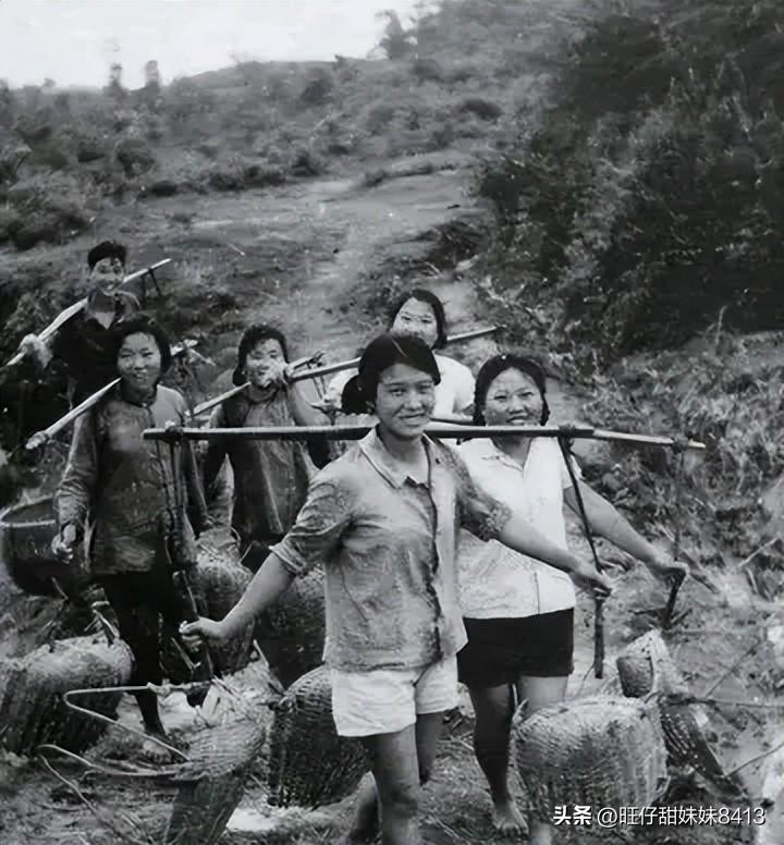 關(guān)于49圖庫(kù)圖片資料的專業(yè)解析與探索，49圖庫(kù)圖片資料深度解析與探索