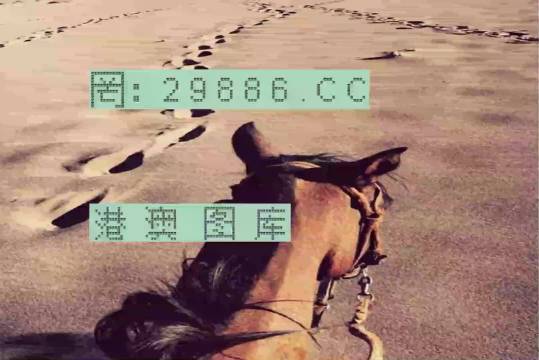 香港特馬資料王中王24期，深度解析與探索，香港特馬資料王中王深度解析與探索，第24期探索之旅