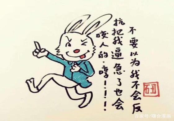 一肖不中賠多少倍，深度解析與策略建議，一肖不中賠倍深度解析及策略建議