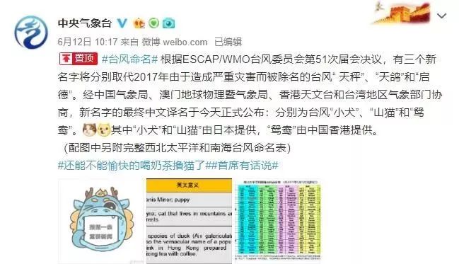 新澳門必中三肖三碼三期必開劉伯，揭秘彩票背后的秘密與策略，揭秘彩票背后的秘密與策略，劉伯的新澳門三期必開三肖三碼預(yù)測技巧