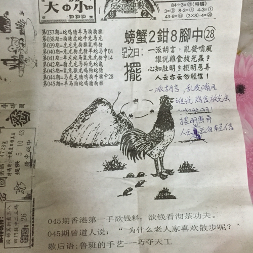 揭秘林中的高手王中王猜一肖的奧秘，揭秘林中之王王中王與生肖奧秘探秘