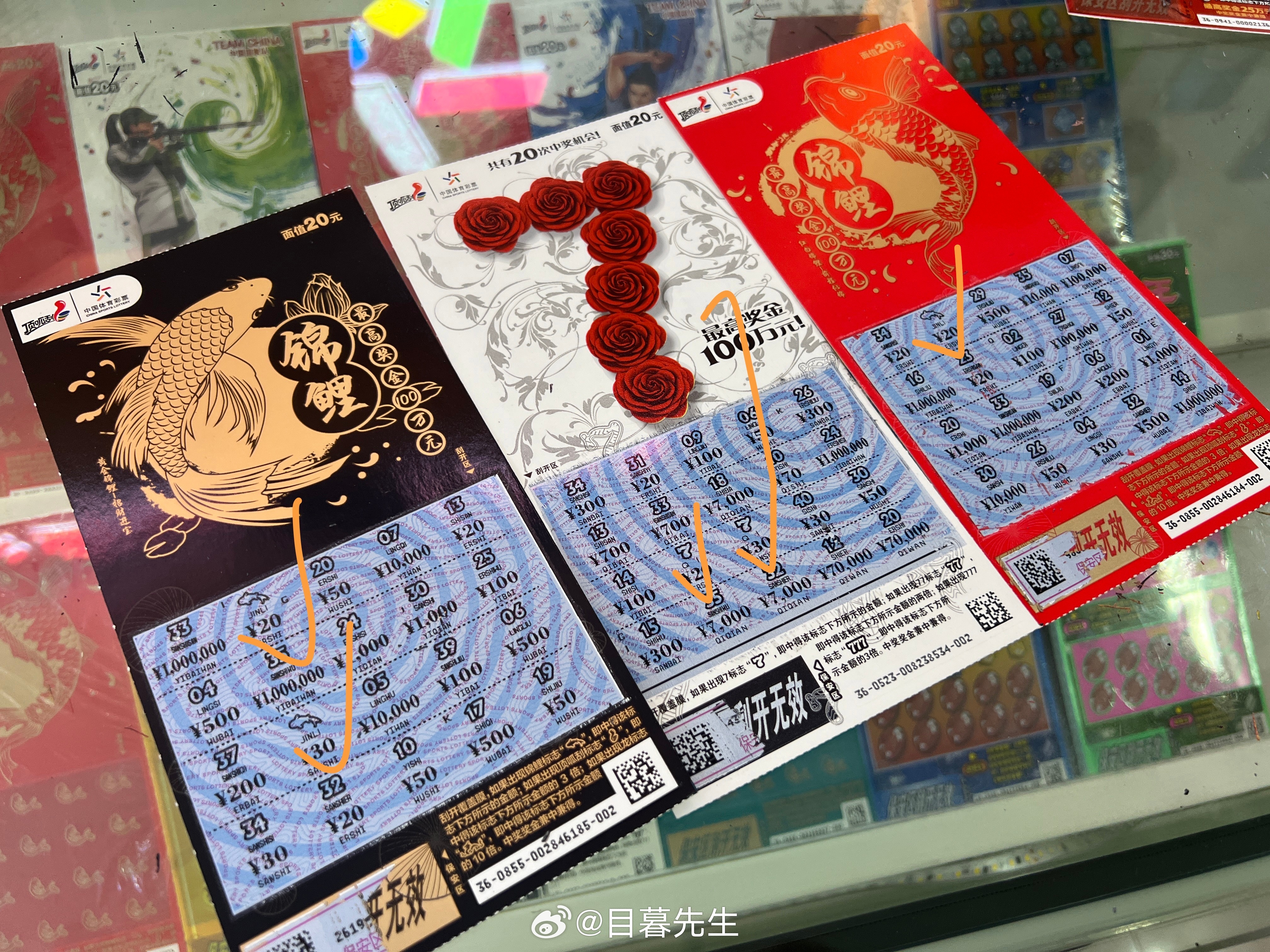 全年王中王一肖中特，深度解析與預(yù)測(cè)，全年王中王一肖深度解析與預(yù)測(cè)，揭秘特肖趨勢(shì)