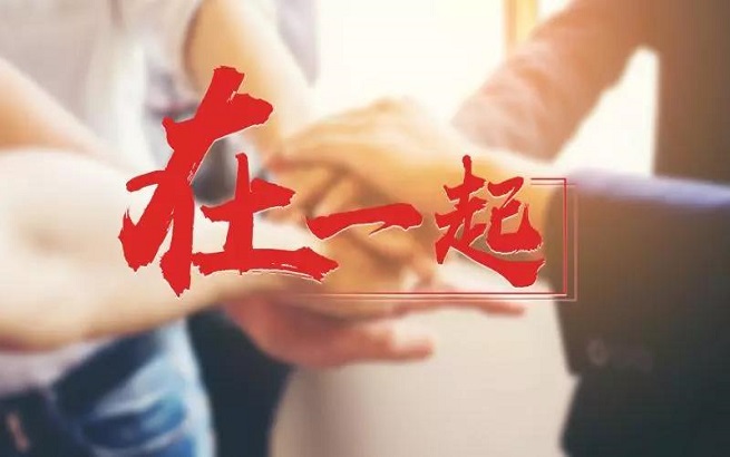 王中王一字一句解一肖——深度解析生肖奧秘，深度解析生肖奧秘，王中王揭示生肖秘密