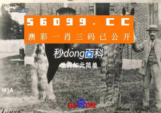 澳門王中王心水王中王，探索與解析，澳門王中王心水奧秘，深度探索與解析