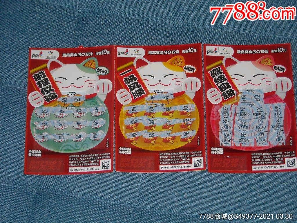 揭秘王中王資料一肖中特y招財(cái)貓，真相與秘密，揭秘王中王資料與招財(cái)貓，真相與秘密探索
