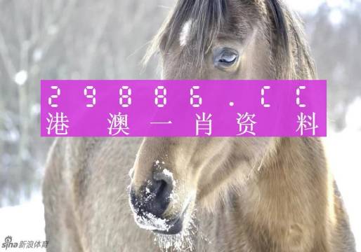 澳門一肖一碼背后的故事，一個關(guān)于精準(zhǔn)預(yù)測與傳奇的揭秘，澳門一肖一碼傳奇背后的精準(zhǔn)預(yù)測與揭秘之旅