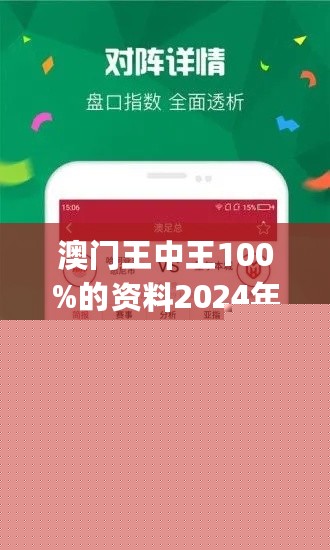 王中王網(wǎng)站一肖，探索與SEO優(yōu)化策略，王中王網(wǎng)站一肖，深度探索與SEO優(yōu)化策略實(shí)踐