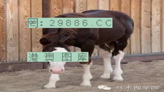 揭秘446999一肖中特馬之秘密，掌握中獎玄機(jī)！，揭秘特馬中獎玄機(jī)，446999一肖中的秘密大揭秘！