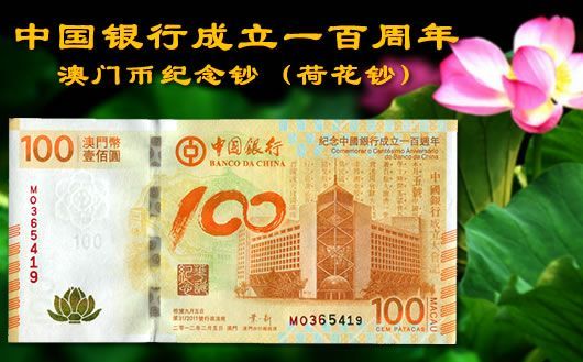 新澳門掛牌正版掛牌完整掛牌，探索與解析，澳門正版掛牌詳解，探索完整流程與解析