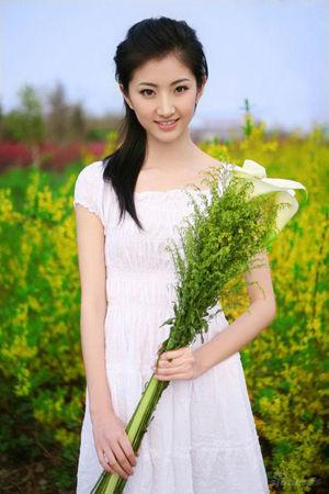 新澳門生肖走勢(shì)圖精準(zhǔn)版，解讀與SEO策略，新澳門生肖走勢(shì)圖精準(zhǔn)解讀與SEO策略揭秘