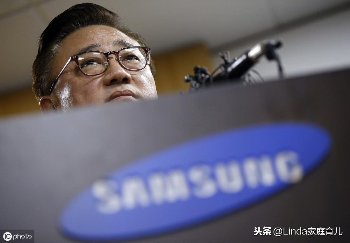 王中王86期指一生肖，深度解析與預測，王中王86期生肖深度解析與預測，揭秘生肖運勢走向